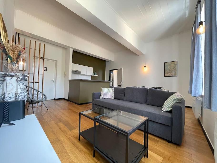 L'Appartement Tomey Avec Parking Καρκασόν Εξωτερικό φωτογραφία